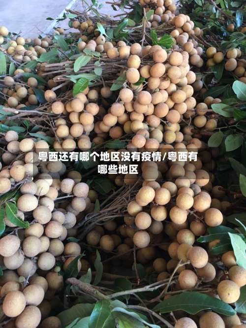 粤西还有哪个地区没有疫情/粤西有哪些地区-第2张图片