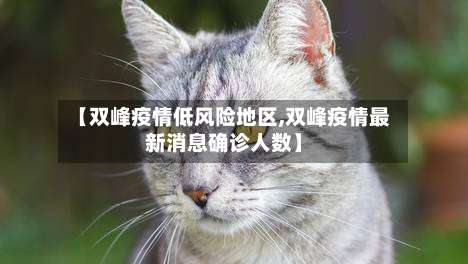 【双峰疫情低风险地区,双峰疫情最新消息确诊人数】-第2张图片