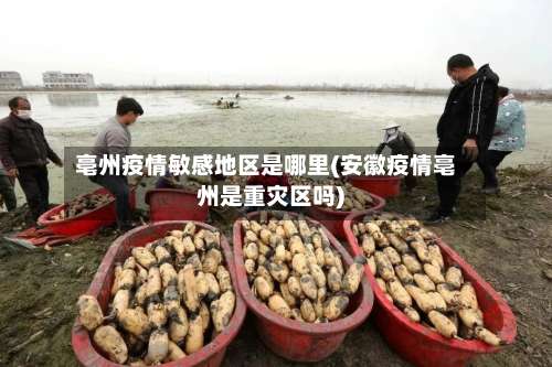 亳州疫情敏感地区是哪里(安徽疫情亳州是重灾区吗)-第2张图片