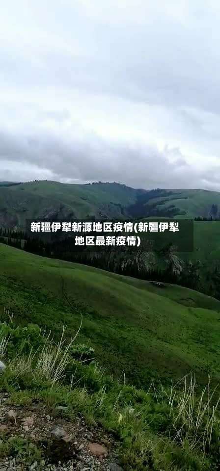新疆伊犁新源地区疫情(新疆伊犁地区最新疫情)-第1张图片