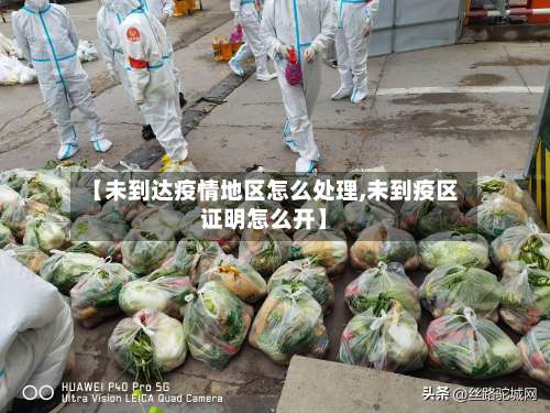 【未到达疫情地区怎么处理,未到疫区证明怎么开】-第3张图片
