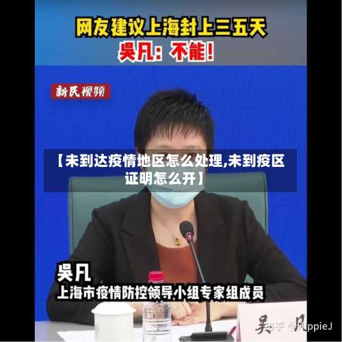 【未到达疫情地区怎么处理,未到疫区证明怎么开】-第1张图片