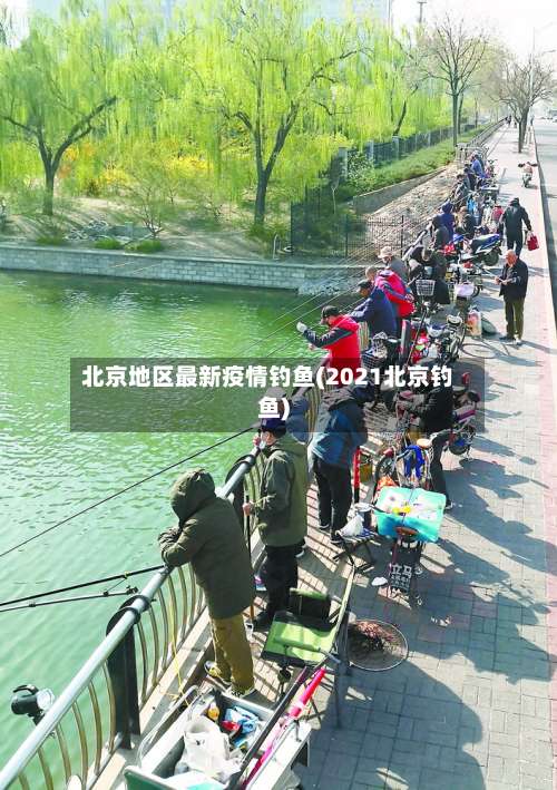 北京地区最新疫情钓鱼(2021北京钓鱼)-第2张图片