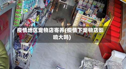 疫情地区宠物店寄养(疫情下宠物店影响大吗)-第1张图片