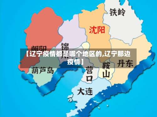 【辽宁疫情都是哪个地区的,辽宁那边疫情】-第3张图片