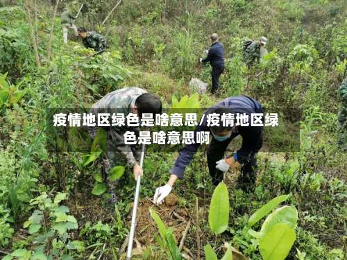 疫情地区绿色是啥意思/疫情地区绿色是啥意思啊-第1张图片