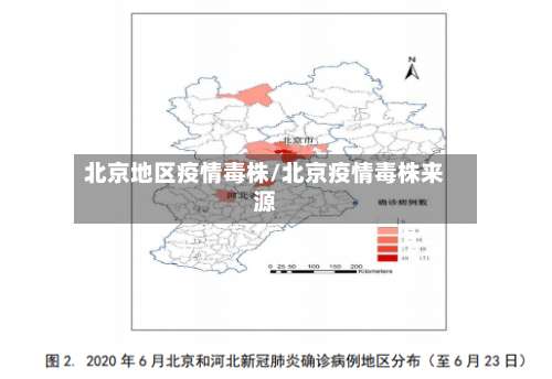 北京地区疫情毒株/北京疫情毒株来源-第3张图片