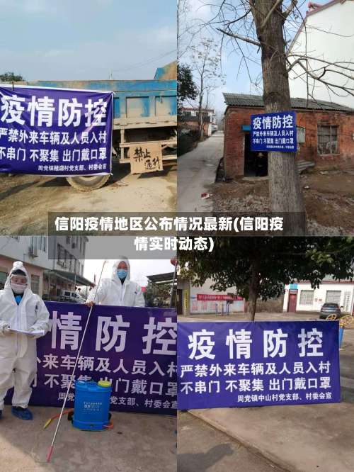 信阳疫情地区公布情况最新(信阳疫情实时动态)-第3张图片