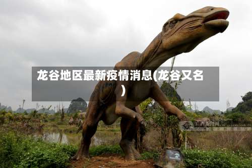 龙谷地区最新疫情消息(龙谷又名)-第1张图片