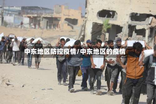 中东地区防控疫情/中东地区的疫情-第2张图片