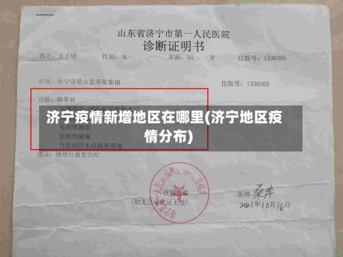 济宁疫情新增地区在哪里(济宁地区疫情分布)-第2张图片